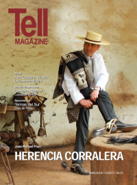 Edici&oacute;n rancagua, enero 2011