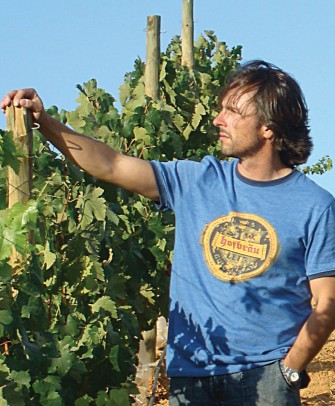 Cabo de Hornos: Un Ã­cono del vino