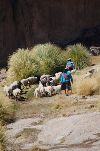 Arraigo a la tierra