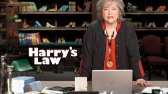 Harryâs law, Chiste repetido