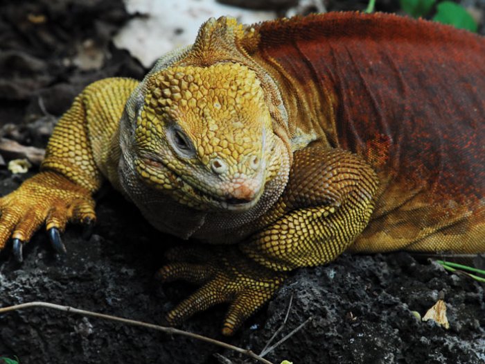 GalÃ¡pagos, las islas encantadas