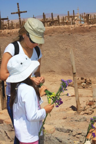Flores de la Pampa
