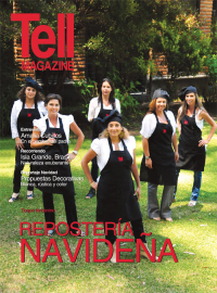 Edici&oacute;n vinadelmar, diciembre 2011