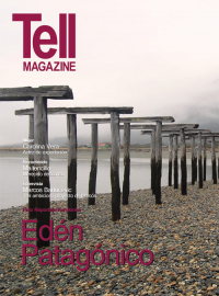Edici&oacute;n vinadelmar, enero 2012