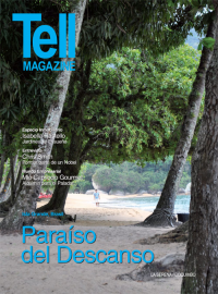 Edici&oacute;n laserena, enero 2012