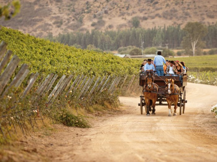 En el corazÃ³n de Colchagua