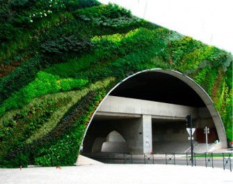 Solución Verde