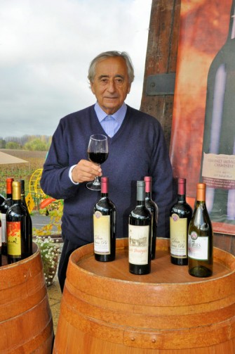 GastronomÃ­a y Vino