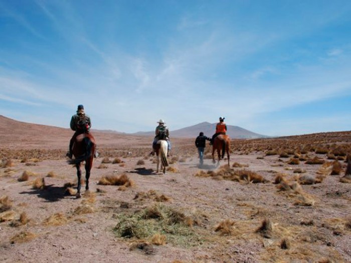 Pampa ParaÃ­so