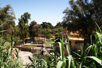 Vinos del Oasis Pica, Matilla y Quisma