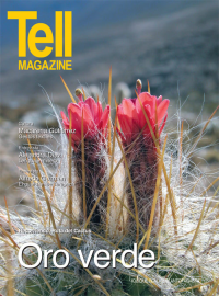 Edici&oacute;n antofagasta, abril 2013