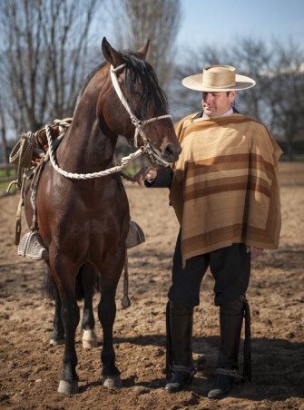 Rodeo de elite