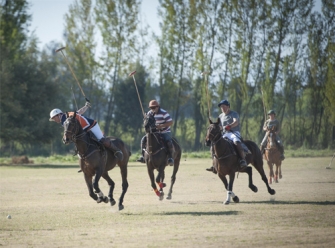 El polo es nuestro