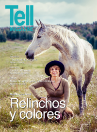 Edici&oacute;n santiago, octubre 2013
