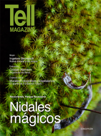 Edici&oacute;n concepcion, octubre 2013
