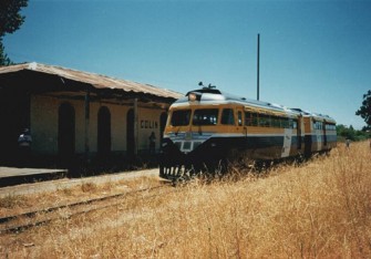 El expreso Pehuenche