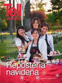 Edici&oacute;n rancagua, diciembre 2013