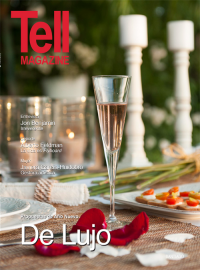 Edici&oacute;n santiago, diciembre 2013