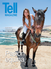 Edici&oacute;n antofagasta, diciembre 2013