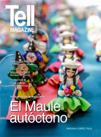 Edici&oacute;n rancagua, enero 2014