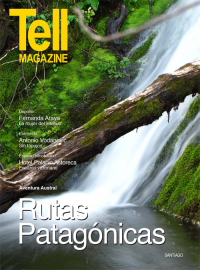 Edici&oacute;n santiago, febrero 2014