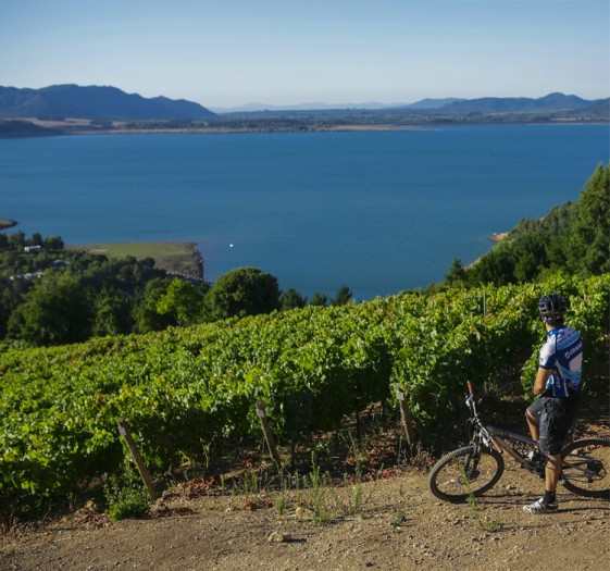 Una taza de leche
