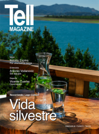 Edici&oacute;n rancagua, febrero 2014