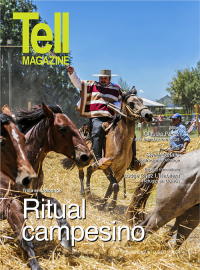 Edici&oacute;n rancagua, marzo 2014