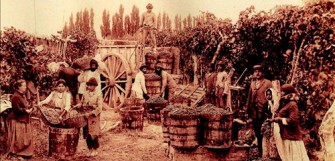 Los orÃ­genes de una tradiciÃ³n: La cultura del vino y el aguardiente en La Serena
