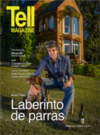 Edici&oacute;n rancagua, abril 2014
