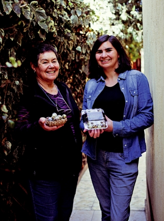 Frescos y nutritivos
