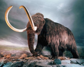 El Mastodonte Maulino