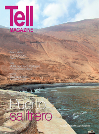 Edici&oacute;n antofagasta, octubre 2014