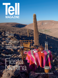 Edici&oacute;n antofagasta, noviembre 2014