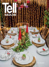 Edici&oacute;n laserena, diciembre 2014