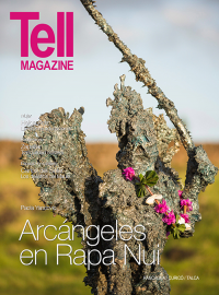 Edici&oacute;n rancagua, enero 2015