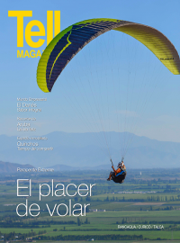 Edici&oacute;n rancagua, febrero 2015