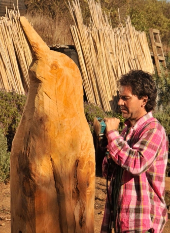 Artista de botes &remos