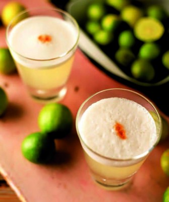 Ceviche y pisco Â¡Viva PerÃº!
