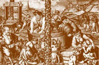 Vinos y viÃ±edos en La Serena Colonial