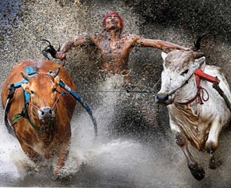 World Press Photo