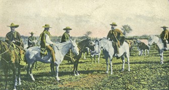 El país del trigo, Región del Biobío