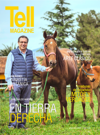 Edici&oacute;n vinadelmar, octubre 2015