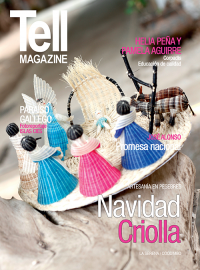 Edici&oacute;n laserena, diciembre 2015