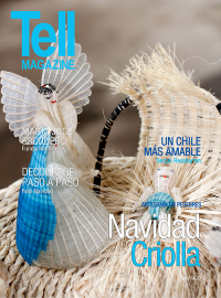 Edici&oacute;n santiago, diciembre 2015
