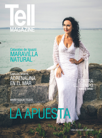 Edici&oacute;n vinadelmar, enero 2016