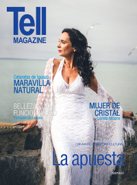 Edici&oacute;n santiago, enero 2016