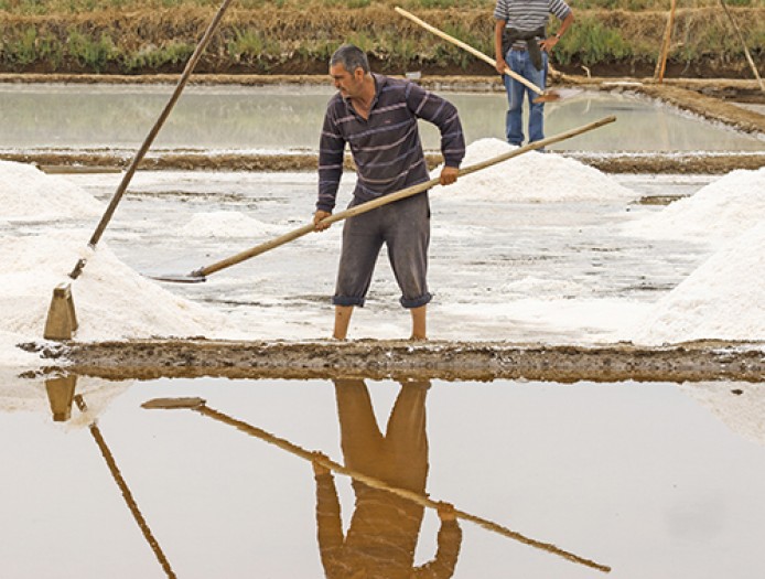 Ruta SALINA