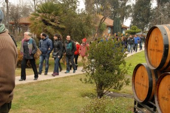 Burbujas de Vino