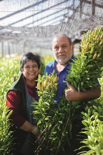 Tierra FÃ©rtil y Colorida